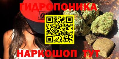 скорость Можга