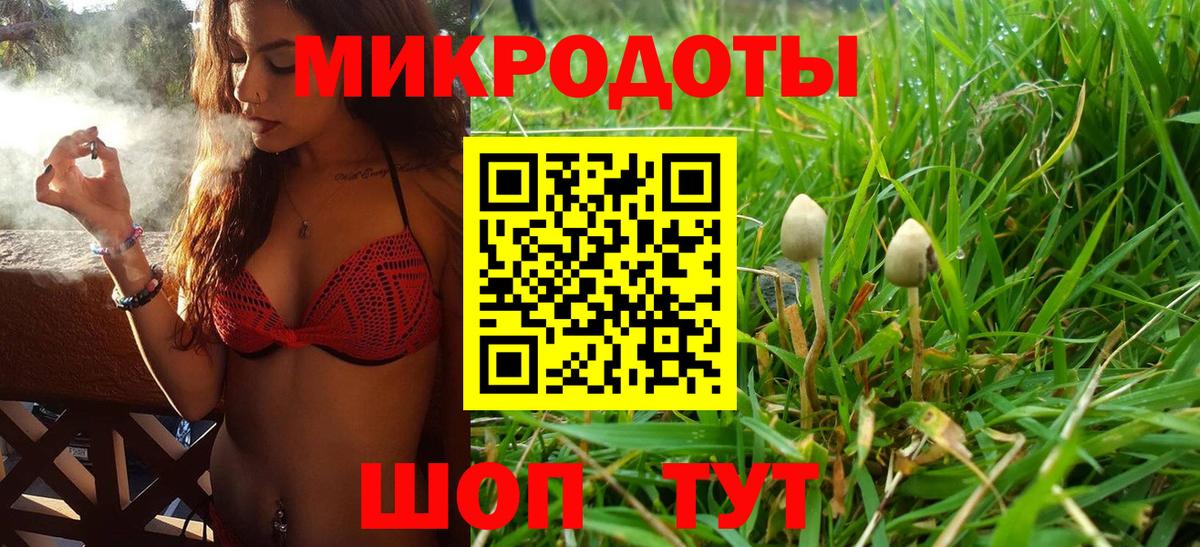 Псилоцибиновые грибы Psilocybine cubensis Великий Устюг