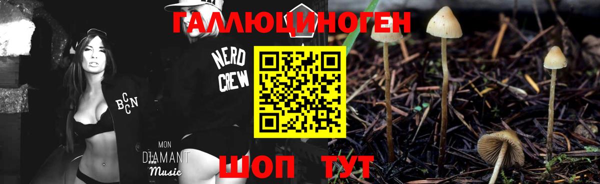 Галлюциногенные грибы GOLDEN TEACHER  Псилоцибиновые грибы Psilocybe  Великий Устюг  купить   Вход с VPN 