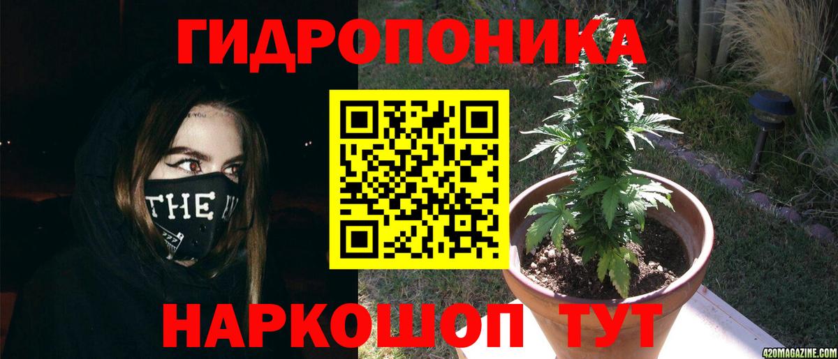 Шишки марихуана тримм Великий Устюг